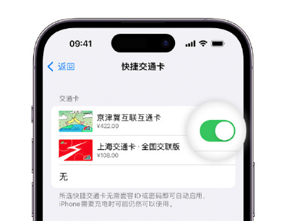 平谷apple维修点分享iPhone上更换Apple Pay快捷交通卡手绘卡面 