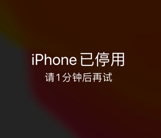 平谷苹果手机维修分享:iPhone 显示“不可用”或“已停用”怎么办？还能保留数据吗？ 