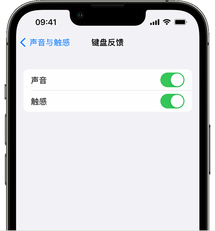 平谷苹果14维修店分享如何在 iPhone 14 机型中使用触感键盘 