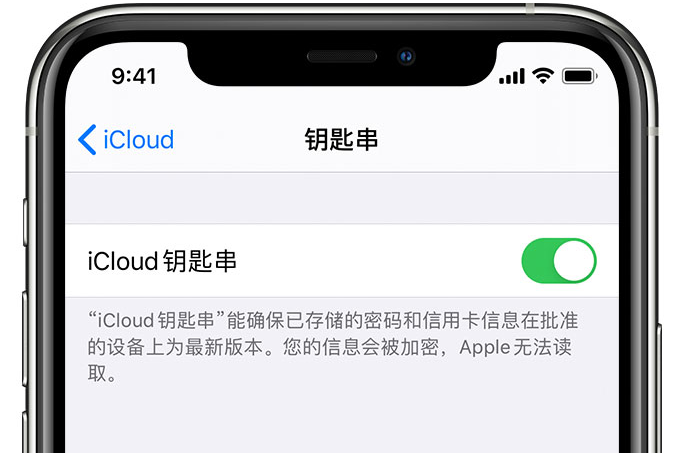 平谷苹果手机维修分享在 iPhone 上开启 iCloud 钥匙串之后会储存哪些信息 