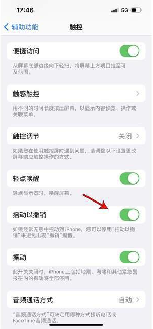 平谷苹果手机维修分享iPhone手机如何设置摇一摇删除文字 