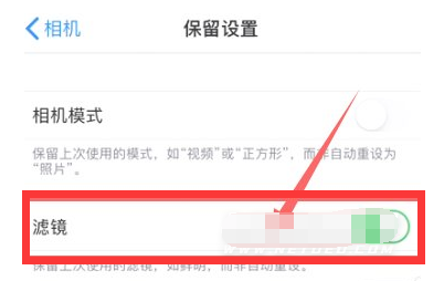平谷苹果13维修分享iPhone13拍照有绿点是怎么回事 